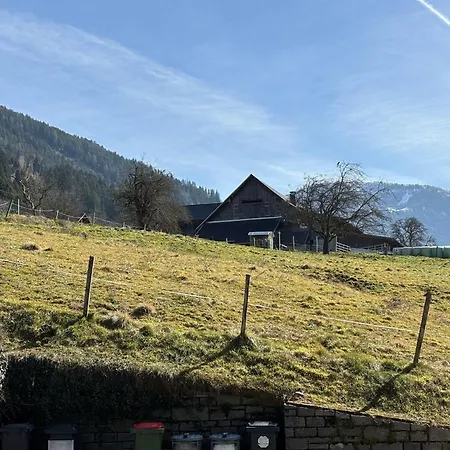 Moderne-ferienwohnung-nur-1km-vom-millstaetter-see-in-kaernten-entfernt